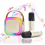 Portable Bluetooth Karaoke Speaker with 2 Wireless Microphones